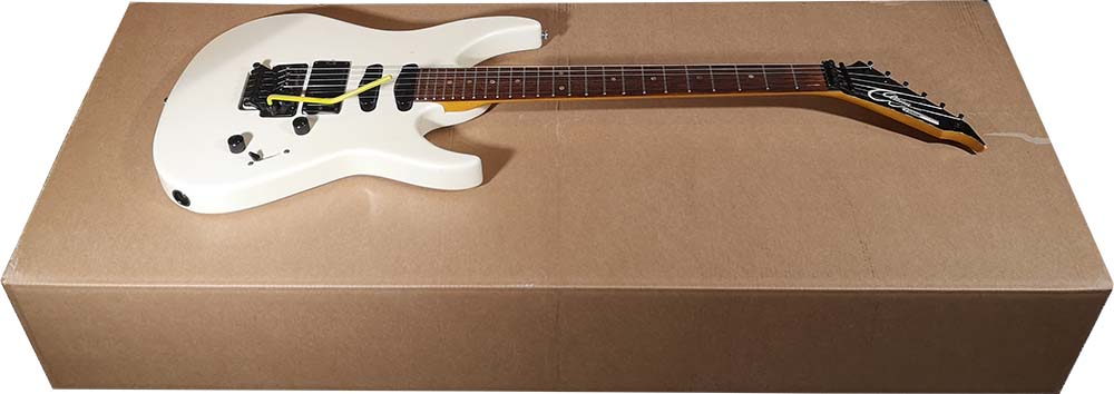 Bild eines zum Versand geeigneten Gitarrenkartons.